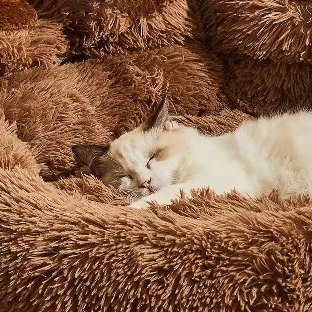🐾 Giant Paw-Shaped Plush Dog Bed – Fluffy Sofa Kennel for Dogs & Cats - Zoomed Image 6